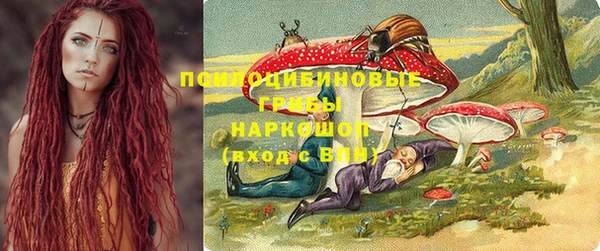 дживик Билибино