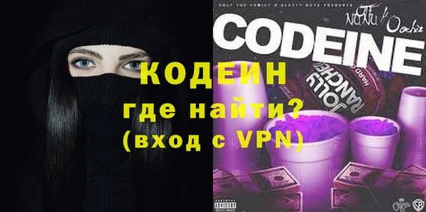 дживик Билибино